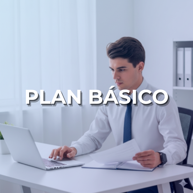 Plan Basico