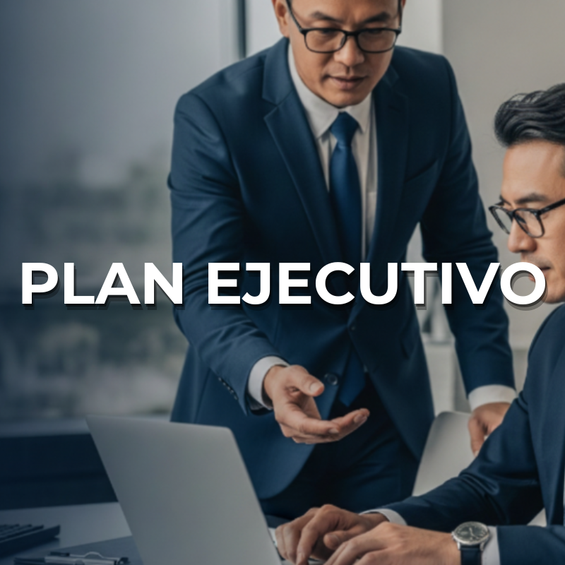 Plan Ejecutivo Laing